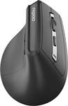 RAPOO EV310M Ergo. Wirel. Mouse