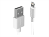LINDY 0.5m USB to Lightning Cable white Charge and
