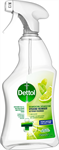 DETTOL Desinfektion Hygiene-Reiniger