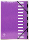 EXACOMPTA Fächermappe Iderama