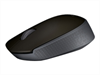 LOGITECH Wireless Mouse M170, grey