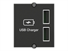BACHMANN Custom Module USB double-charger