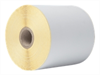 BROTHER Direct thermal label roll 102mm continues