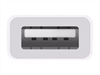 APPLE USB-C to USB-A Adapter