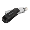 SANDISK USB-Stick iXpand 64GB