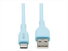 EATON TRIPPLITE Safe-IT, USB-A to USB-C,